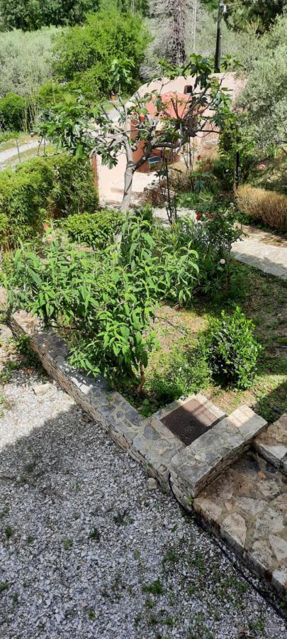 Maison Provence Avec Piscine Privative Nyons Exterior foto